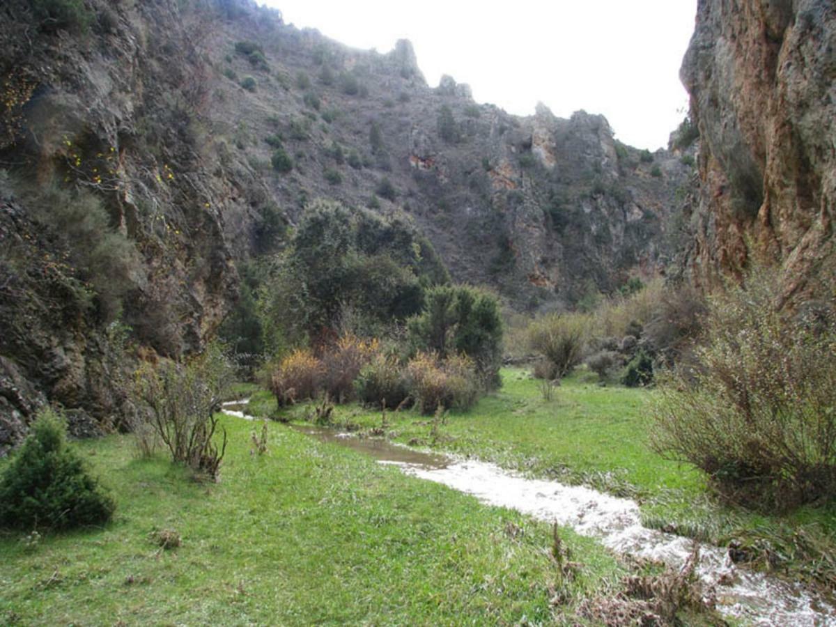 Casa La Herradura Royuela المظهر الخارجي الصورة